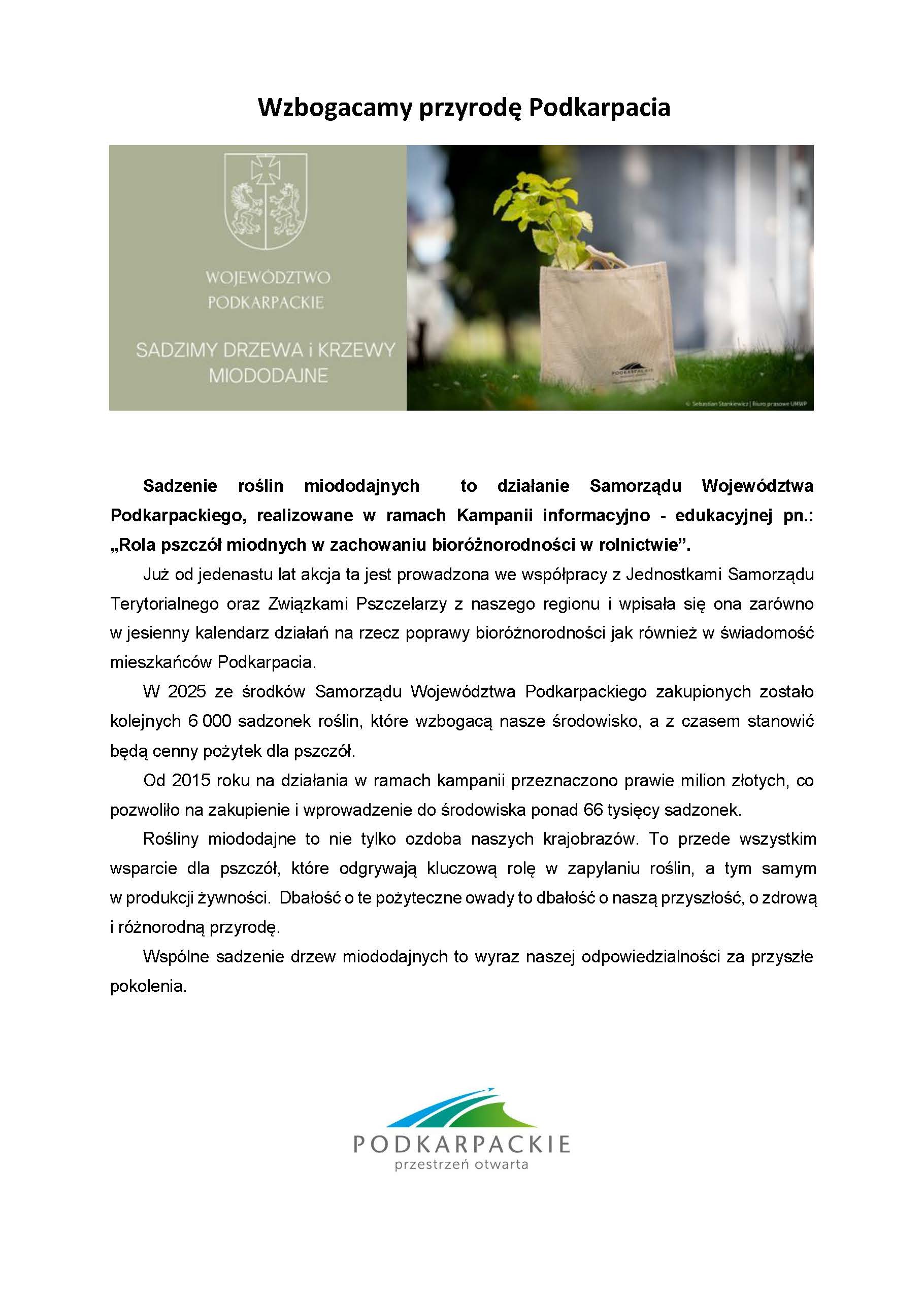 Informacja akcja sadzenia drzew 2025