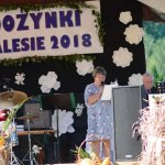 Dożynki Wiejskie w Zalesiu 2018